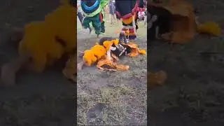 Mas dedeng raja kondang satu kali salto ndadi