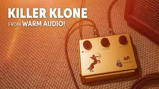 Warm Audio Centavo Professional Overdrive Pedal Demo
