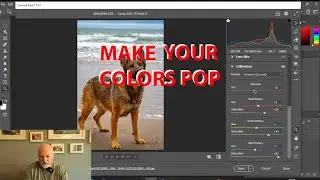 Photoshop | How To Make Your Colours Pop