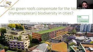 Can Green Roofs Compensate for the Loss of (Hymenopteran) Biodiversity in Cities?