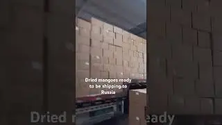 Dried mangoes ready to be shipping to Russia #вяленая # #манго #fruit #помадка #driedmango