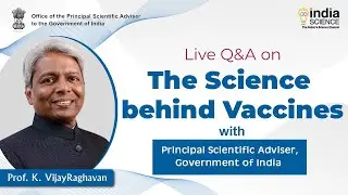 Q&A: 