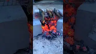 grilled snakehead fish #shorts #xuhuong #tiktok
