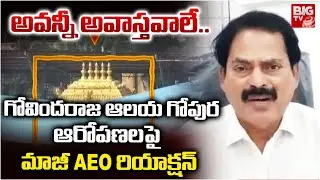 అవన్నీ అవాస్తవాలే.. | TTD EX AEO Reacts on Tirumala Govindaraja Temple Gopuram Issue | BIGTV