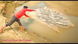 Big River Net Fishing Today // Net Fishing Trip // Village Style River Net Fishing