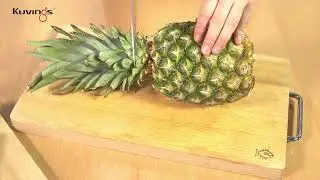 Commercial Whole Slow Juicer CS600 - Quick Guide