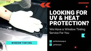 Perfect Auto Glass Edmonton: Auto Glass Repair, Replacement, Tinting, PPF, Auto Detailing & More!