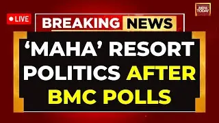 BMC Election Result 2026 LIVE: BJP-SENA Vs Thackerays In Battle For Mumbai's Crown | Mumbai News