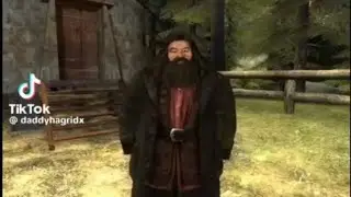 Daddy Hagrid compilation from TikTok @DaddyHagridx 