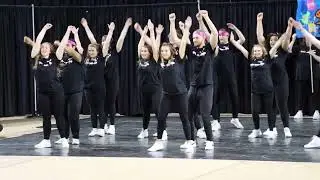 2010 - Alpha Sigma Tau, Phi Mu, and Pi Kappa Phi