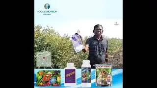 Farmer Vijay Gondane Maharahtra Using Focus Biotech Product O2,Fighter,More,Cropking for #Piegon