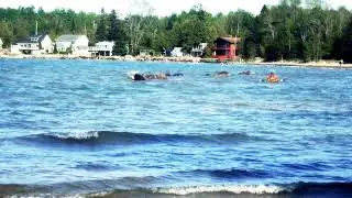 Hibou Rock Hopping May 2021