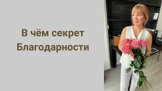 В чём секрет Благодарности