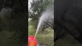 Spraying olive trees 2.Greece.Kubota m5071n