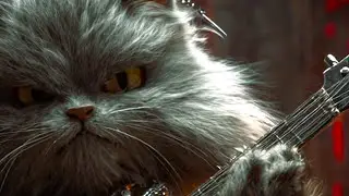 This Metal Band Is Made of Cats 🐱🔥 | Feral Metal Cats