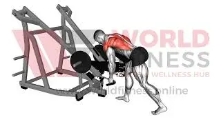 Lever Bent Over Neutral Grip Row with chest support Demo