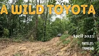 Toyota Driving in the Jungle in Trinidad