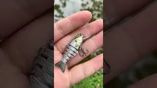 Amazon BS #1 fishing lure&mdash;TRUSCEND-Summer Deals: 30%OFF on Our website,the cheapest entire internet.