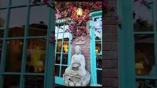 Best food in Chandigarh 😍|Cafe JC | Casabella.  #chandigarh#bestfood #cafe #cafeJC#viral #dateplace
