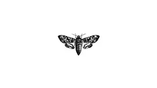 🎛️🔊 Ambient-Techno-KwYMO: Ableton Live 🎹 Indietronica, Electronic Music, Kraftwerk, Chillout