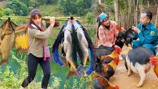 Single mother catches giant fish using traditional tools. A delicious meal with a police officer