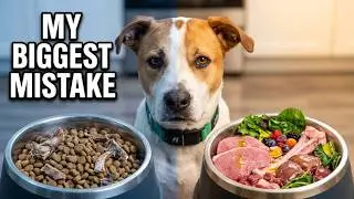 The Dog Food Mistake Every Pet Parent Makes