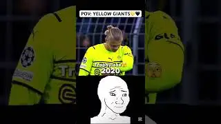 Life of DORTMUND FANS in 60sec🖤💛