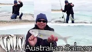 AUSTRALIAN SALMON | AWESOME FISHING ADVENTURE @ YORKE PENINSULA | INNES NATIONAL PARK