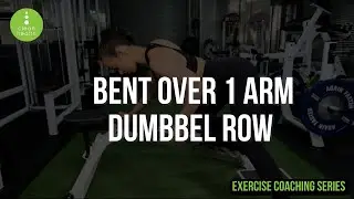 Bent Over One Arm Dumbbell Row | Build a Thicker Back!