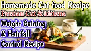 weight Gaining & Hairfall Control Homemade Cat Food Recipe for cats & kittens in Winter seasons 🐈