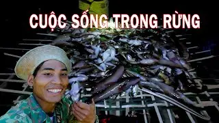 Sống Trong Rừng Sâu