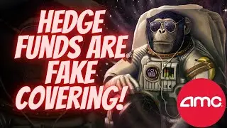 Хедж-фонды AMC &laquo;поддельное покрытие&raquo; с помощью опционов! 🚀🔥
