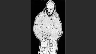 onion head - Sean Price (Hell-Rza remix).wmv