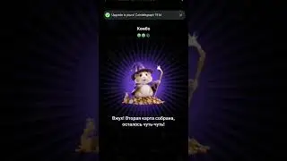 Hamster kombat 13.08.2024 Cointelegraph&nbsp;, CEO&nbsp;, NFT Marketplace&nbsp;