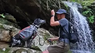 Magnolia Falls Hike With My Dog | Hiking In Arkansas