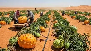 This Spiky Fruit Grows Like THIS 😲 | Kiwano Horned Melon Harvest