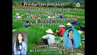 Pre-harvest practices, Maturity Harvesting indices, methods and tools on farm management of harvest