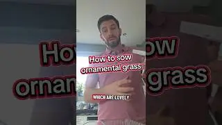 Как посеять семена декоративной травы #советыпосадоводству