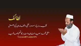 Subtle components of human beings, heart, soul, head, subconscious, and concealment | Mufti sahab