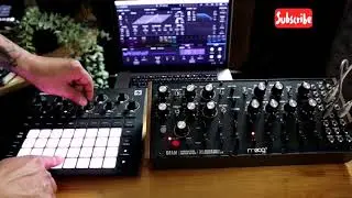 Warning ⚠️ Novation circuit tracks | Pigments 3 | Moog Dfam | Live setup ideas