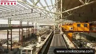 European Overhead Crane