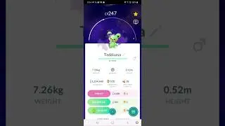 Shiny Shadow Teddiursa!  #pokemon #shinypokemon #shinyhunter