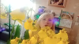 01.01.2026.С НОВЫМ ГОДОМ 🎄🧑‍🎄⛄!