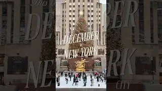 CHRISTMAS IN NEW YORK IS HERE!!! 🎄