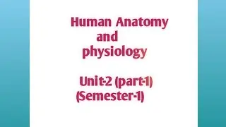 pharmacy notes,,easy and simple