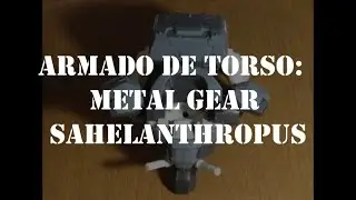 Armado del Torso 