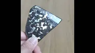SERICHO Pallasite Natural Meteorite Material Sliced Olive Meteorite Slices Specimen  - From Kenya