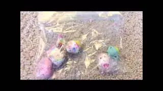 Shopkins Trade With My Shopkin Addiction