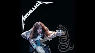 Nothing Else Matters bass cover but I pretend to be Steve Harris