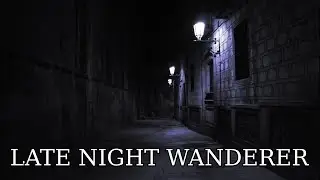 Late Night Wanderer